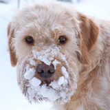 Matchy met haar lekkere sneeuwbekkie : - )