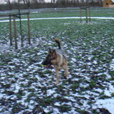 Ik heb de ballll