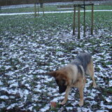 Dollyyyy