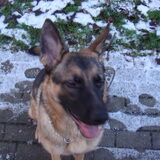 Love jou dolster
