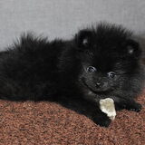 Nina! 9 weekjes