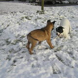 lekker in de sneew