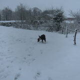 Foto van Gert + Blacky