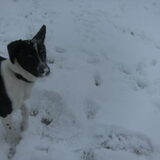 Foto van Gert + Blacky