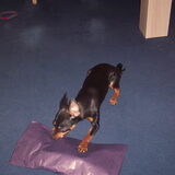 me kado openen