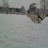 Storm running