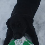 Foto van Marlies