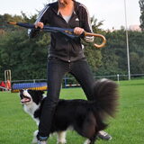 Dogdance !!