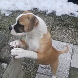 Foto van samira-chika-lady
