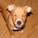 19-02-2009 Juicey