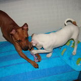 Janey & Major 19-02-2009