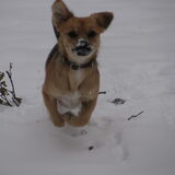 I believe I can fly!