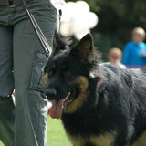 Mooi lopen