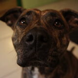 Ben ik lief ??