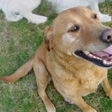 ik kynai en die lieve lieve buddy :)