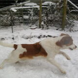 roxie rent naar haar running egg