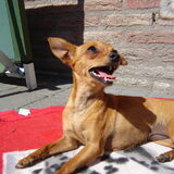 haha ziva :p