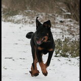 Aisha 30-12-10