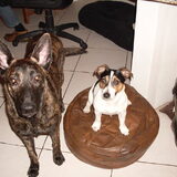 samen poseren