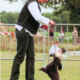 doggy dance