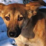 Lilly nog in bulgarije