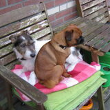 Foto van jennie