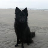 Foto van jennie
