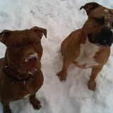 Vader en zoon, lief zeg!!!