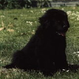 Foto van Maria