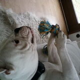 Foto van Lady,,,Melissa,,,Rocco