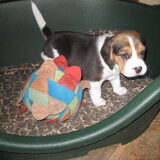 Wat een droppie He?
