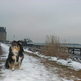 Foto van Taiko & Kiya Thalassa