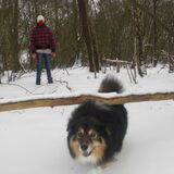 Onze luie hond die niet wilt springen :P