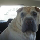 Onze Princess (20-09-1997)
