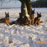 Foto van De Mecheltjes clan