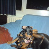 uhm wie is hier nou de baas??
