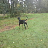 Foto van Marlies