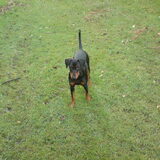 Foto van Marlies