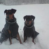 Cuties
