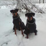Foto van Marlies