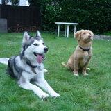 figo met z'n beste maatje, Aelan