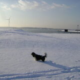 lekker in de sneeuw