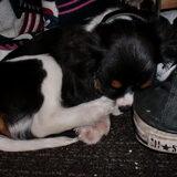 kleine jongen
