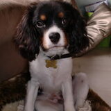 mooie lieve Sunny