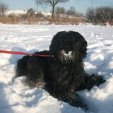 bounty in de sneeuw