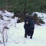 Foto van Mirjam en Curly Koda