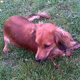 je was zoooo lief