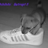 Zie foto