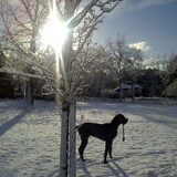 Mooi in de sneeuw!