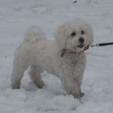Sneeuwpret